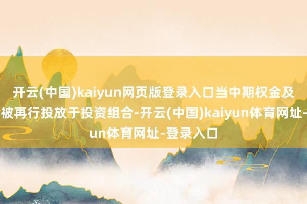 开云(中国)kaiyun网页版登录入口当中期权金及股息均会被再行投放于投资组合-开云(中国)kaiyun体育网址-登录入口