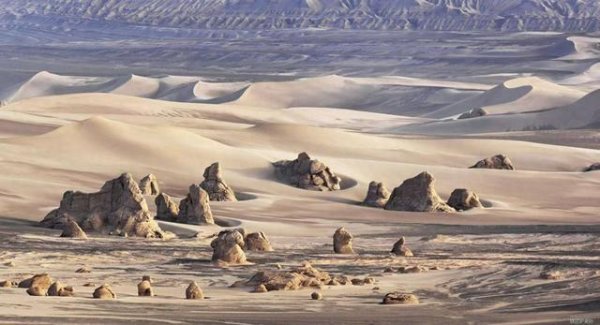 开云体育亚麻色发辫间残留着红柳花粉-开云(中国)kaiyun体育网址-登录入口