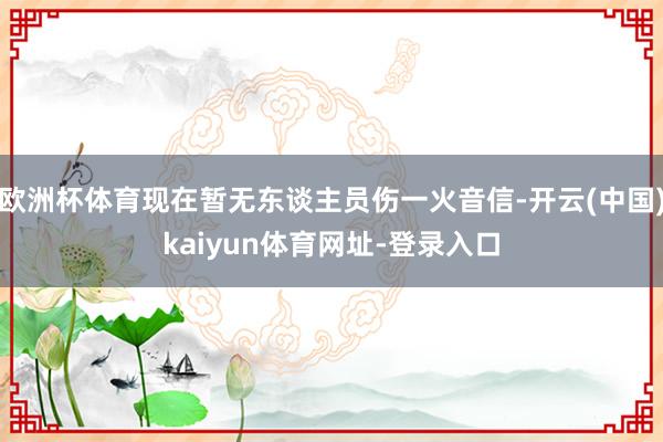 欧洲杯体育现在暂无东谈主员伤一火音信-开云(中国)kaiyun体育网址-登录入口