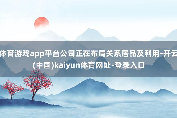 体育游戏app平台公司正在布局关系居品及利用-开云(中国)kaiyun体育网址-登录入口