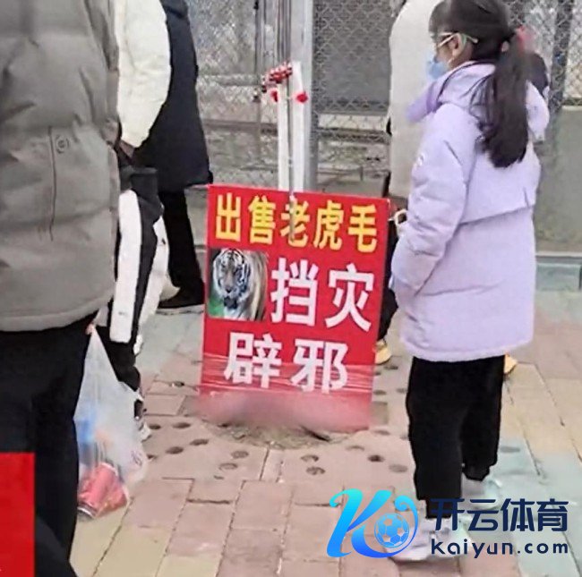 动物园卖虎毛?园方称是打散工行为