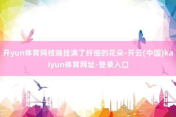 开yun体育网枝端挂满了纤细的花朵-开云(中国)kaiyun体育网址-登录入口