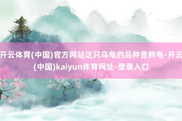 开云体育(中国)官方网站这只乌龟的品种是鳄龟-开云(中国)kaiyun体育网址-登录入口