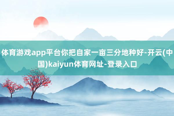体育游戏app平台你把自家一亩三分地种好-开云(中国)kaiyun体育网址-登录入口